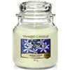 Yankee Candle Candela profumata in giara media | Gelsomino notturno | Durata Fino a 75 Ore