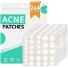 Home Holic 264 PCS Patch Brufoli Pimple Patches Trasparenti Idrocolloidi Cerotti Viso | 2 In 1 Giorno e Notte Invisibili Assorbenti Impermeabili E Traspiranti con Olio dell'Albero Del Tè