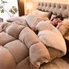 MTHGH Piumone Matrimoniale Invernale,Trapunta in Pile Double-Face Spessa E Calda,Coperta Addensare Fluffy Inverno Piumino Spesso Morbida E Calda(04,200 * 230m/3kg)