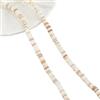 NBEADS Circa 400pz Perline di Conchiglia Heishi, Perline Colorate A Conchiglia Piatta Sottile Naturale Perline A Conchiglia Tinte per Bracciali, Collane, rotondocolli, 5~6x1.5~3mm, Foro: 0.8 mm