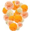 Capesaro Pom Poms di carta arancione - Pesca Tissue Pom Poms decorazioni per feste da appendere - Set da 15 pezzi