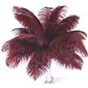 Fenisonavy Set di 10 piume di struzzo naturali, 20-25 cm, piume di struzzo di alta qualità, per decorazione di nozze, centrotavola, decorazione per la casa, vaso e hobby creativi fai da te (bordeaux)