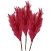 VIRSUS 3 Pampas Artificiali J100, lungo 55cm, fiori Erba di Pampa finta con stelo lungo a 6 teste, Piume decorative per vasi da terra e da tavola, per casa, Nozze, Matrimonio (Rosso)