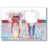 SSWD Global Dental Art - Stampa su tela con dentisti, idea regalo per dentisti, medica, decorazione da parete (60 x 80 cm)
