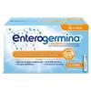 Enterogermina Fermenti Lattici 4 Miliardi 30 Flaconcini da 5 ml