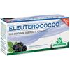SPECCHIASOL Eleuterococco 12 Flaconcini