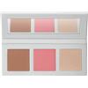 DIEGO DALLA PALMA Icy Bloom - Palette Polveri Viso 356 multicolore 3 x 3,5g - Palette