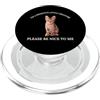 Sensitive Little Creature - So Be Nice! I'm A Sensitive Creature Please Be Nice To Me Cute Kitten PopSockets PopGrip per MagSafe