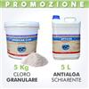 5 Kg Cloro granulare + 5 L antialga