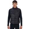 Equestro Smanicato uomo Ridertechnology 2.0 cuciture termosaldate
