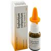 Guna Euphorbium Compositum Spray Nasale S - Farmaco Omeopatico 20 ml
