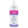 Combe Italia Vagisil Protect Plus - Detergente Intimo 500 ml