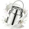 aliooila recipiente acciaio inox per olio 3/5/10/15 litri, contenitore per olio in acciaio coperchio sigillato e maniglia per vino/olio da cucina/latte/cereali,3Liters