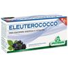 SPECCHIASOL Srl Specchiasol Eleuterococco Integratore Energia e Vitalità 12 Flaconcini