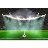 Muralo Carta da Parati Sport, Calcio, Stadio, Palla, Bambino - 60x90 cm | Fotomurale fotografico ad alta definizione, disponibile in tessuto non tessuto o autoadesivo, posa facile, arredo moderno