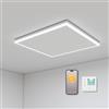 byecold Riscaldamento a Infrarossi da Soffitto Con Termostato 400 Watt - LED Illuminazione e Controllo Tramite