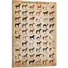 XNLKSI Horse Knowledge - Poster con cornice, motivo: razze di cavalli del mondo, 30,5 x 40,6 cm