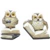 KUKUUU Statuetta di gufo che legge un libro, 2 pezzi, decorazione for la casa, regalo