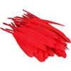 Anevous 100 piume, piume per fai da te, piume lunghe, per decorazioni carnivali, decorazioni fai da te, acchiappasogni, decorazioni per matrimoni, orecchini a forma di piuma, colore rosso