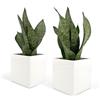 Vimin Box Set 2 pcs, Vasi Quadrati in Ceramica, per Interni, Bianchi, per Piante Grasse, Fiori, Bonsai, Cactus, Decorazione Casa, Scrivania, Tavolo, Ufficio. (M - 10x10cm)