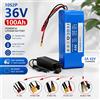 RYOBI Batteria al Litio 36V 100Ah 10S2P 18650, Batteria di Ricambio per Scooter Elettrico, E-bike, Moto con BMS, Stock UE