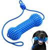 Generico Pulizia dei denti del cane, apribocca aiutante per spazzolino masticabile | Detergente per denti per cani, giocattoli per pulizia dei denti per cani, strumenti per pulizia dei morsi con blocco