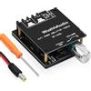 sikkeby Amplificatore HiFi con Bluetooth 5.0, ZK-1002L 2.0 canali 100W X 2 modulo amplificatore audio stereo mini ricevitore amplificatore di potenza DC 5-24V kit altoparlante fai da te
