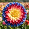 UIYERWC Dalia - Perenni Resistenti, Effetto scenografico eccellente, Naturali e biologiche, Adatte ai giardini all'aperto-2Rizomi-G