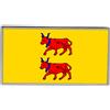 Spilla Bavetta Francia Béarn Flag con Fermaglio Farfalla 23mm x 13mm