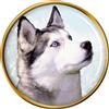 Husky Siberiano Cane Distintivo di Lapel Pin