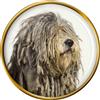 Bergamasco Shepherd Cane Distintivo di Lapel Pin