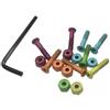 Baoblaze Set di 6 Viti Colorate in Acciaio al Carbonio per Longboard, Lunghezza 1 Pollice, 2 Pezzi