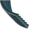 HUTCHINSON 668 K 3 Cinghia servizi