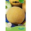 Germisem Galia F1 Semi di Melone 6 semi
