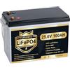 PUPVWMHB Mini Batteria LiFePO4 24V 100Ah, 15000+ Cicli, BMS 100A con Protezione da Bassa Temperatura, Alta Efficienza per Camper, Barche, Solare Off-Grid, Motori Elettrici e Sistemi di Accumulo
