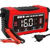 HTRC LiFePO4 - Caricabatteria da auto da 16 A, 6 V/12 V/24 V, con display LCD, compensazione della temperatura, modalità di riparazione per batterie auto, auto, barche