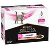 Purina Veterinary Diets Cat UR Urinary al Salmone 85 Gr x 10 pezzi ACQUISTO MINIMO 4 PEZZI