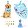 HMCEY 3 PCS Set Compleanno Cane,HMCEY Bandana Cane Compleanno con Cappello -Blu | Con Corona Compleanno, Foulard E Numeri,Morbido E Confortevole,I Numeri Sono Sostituibili A Piacere,Per Servizi Fotografici