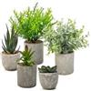 ZOVRIXIA 5 Pezzi Piante Finte da Interno, Mini Piantine Finte Decorative con Vasetto | Piante Grasse Finte (Lingua di Serpente, Agave, Aloe) per Soggiorni, Ufficio, Scrivania, Casa, Camera da Letto, Bagni Deco