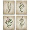 GLWDMH 4 pezzi 20 x 25 cm vintage botanico foglie verdi e fiori dipinti su tela, poster e stampe artistiche da parete per soggiorno, camera da letto, sala da pranzo, ufficio (senza cornice)