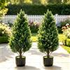 KANEODOT 70 cm, set di 2 cipresso artificiali in vaso, resistenti ai raggi UV | Alberi artificiali resistenti alle intemperie, dall'aspetto realistico, sempreverde, decorazione per interni, balcone