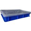 COSE DA CASA Cassetta Blu Porta Impasti con coperchio trasparente pizza focaccia pane 60x40x10 Sovrapponibile HDPE Idonea al Contatto Alimentare per Anticontaminazione glutine lattosio allergie