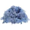 QUARKZMAN 4 OZ Muschio di Renna Conservato Muschio Finto Muschio Cielo Blu | Secco Artificiale, Artigianato, Decorazione, Terrari, Piante, Vaso, Centrotavola, Giardini Fate, Artigianato