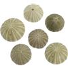Alipis Ricci di Mare al Naturale, Ornamenti Conchiglia Mare in Guscio di Riccio Verde, 6 Pezzi, per Decorazione Casa Tema Mare e Spazi Abitativi