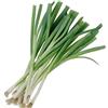 Generic 250 semi non trattati Cipolla gallese Cipolla giapponese Ishikura pulmonaire Bianco giapponese:Graines