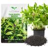 Magic of Nature: Semi di Basilico Thailandese 100 Pz (Ocimum Basilicum) | Sementi Aromatiche per Cucina Asiatica - Ideale Balcone e Orto