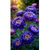 Sfdytg Bellissimo Peonia, Perenne, Resistente - Giardini e Balconi, Adatta ai principianti-2bulbi-C