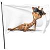 NIBABAEU Bandiere decorative da giardino, 60 x 90 cm, con stampa 3D divertente giraffa, bandiere da giardino, decorazione da appendere