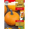 Lucia Elite | Zucca - YELLOWGIRLS H Sementi per orto | Frutti rotondi dolci vitaminici | Per decorazioni e cucina | Semi di zucca | 1 bustina