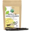 Alpi Nature 25 Bacche di Vaniglia Bourbon Madagascar 15-17cm | Vaniglia Bacche Madagascar Qualità Premium per Dolci, Ideale per Torte, Biscotti, Gelati e Budini